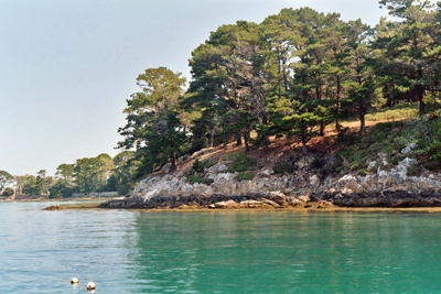 Secret Island